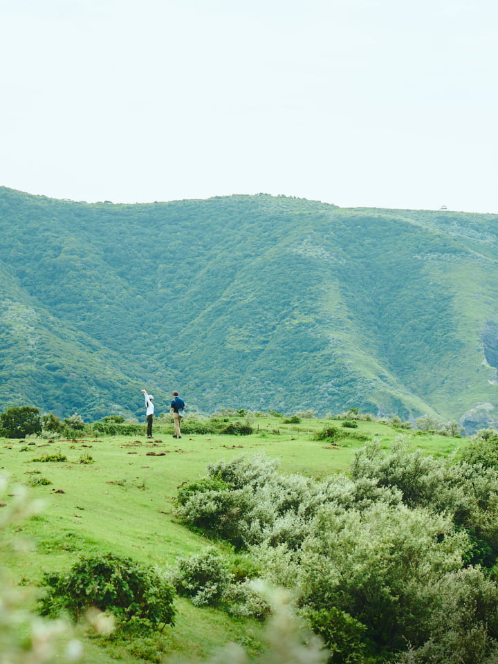 A picture of a spectacular view of the sea and greenery from a gently sloping green meadow on top of a cliff