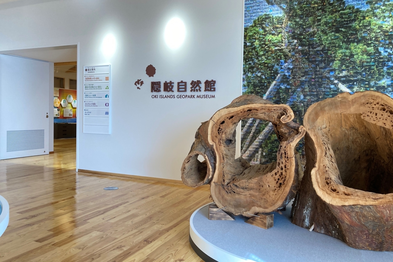 Oki Islands Geopark Museum