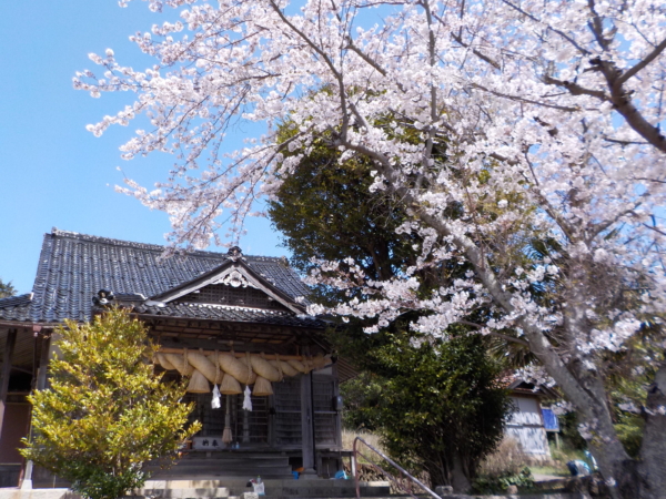 Amasashihiko-no-mikoto Shrine (Ikkū Shrine)