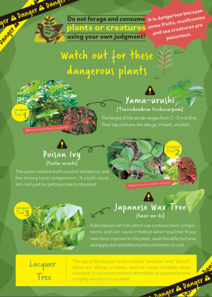 Dangerous Plants and Animals, and Tips on How to Protect Yourself – English –