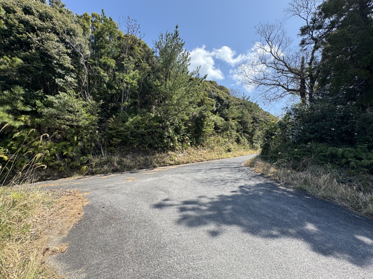 Takuhi Shrine Hiking Trip By Bus