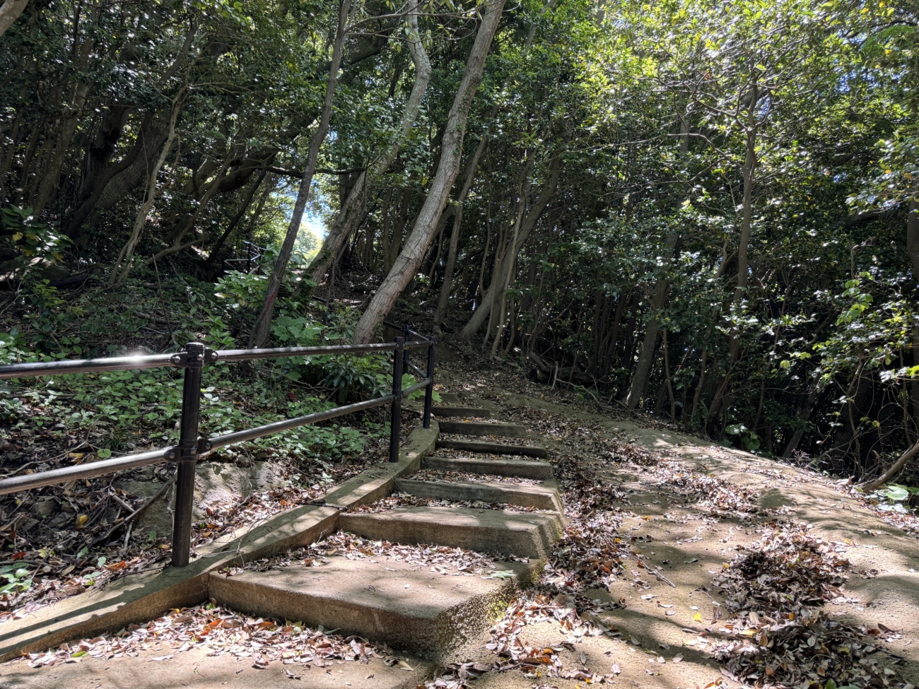 Takuhi Shrine Hiking Trip By Bus