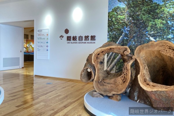 隠岐自然館・隠岐ジオパークセンター
