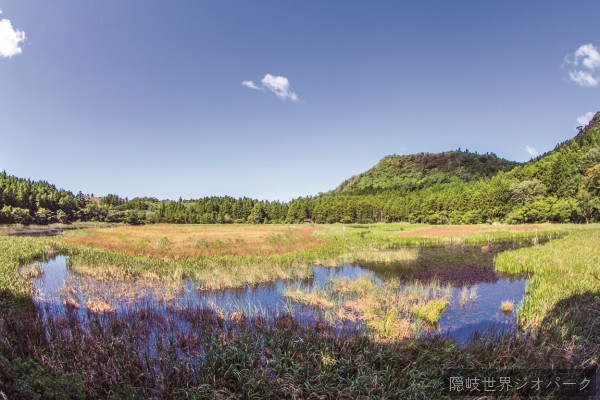 油井ノ池