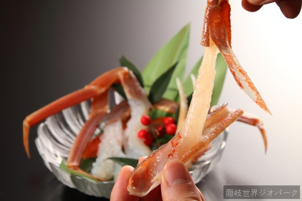隠岐松葉ガニ刺身